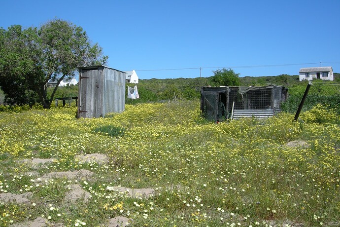 9510 Die Kleinhuisie in a Fynbos garden
