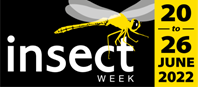 Insect Week 2022 graphic